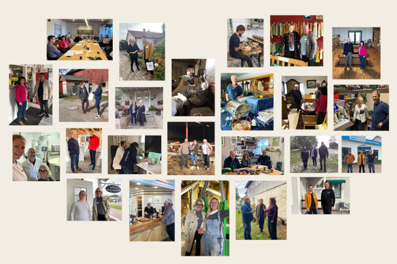 Kollage av mindre bilder