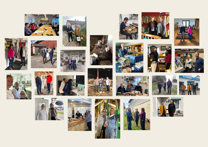 Kollage av mindre bilder