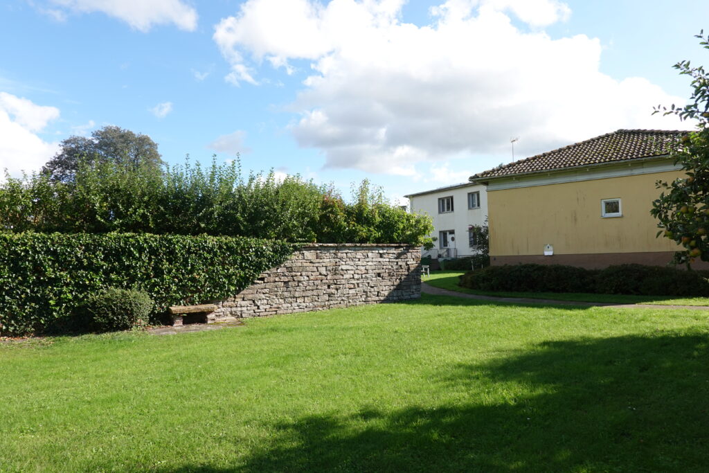 Baksidan på huset sett från håll, enhög stenmur med klätterväxter och päronträd bakom