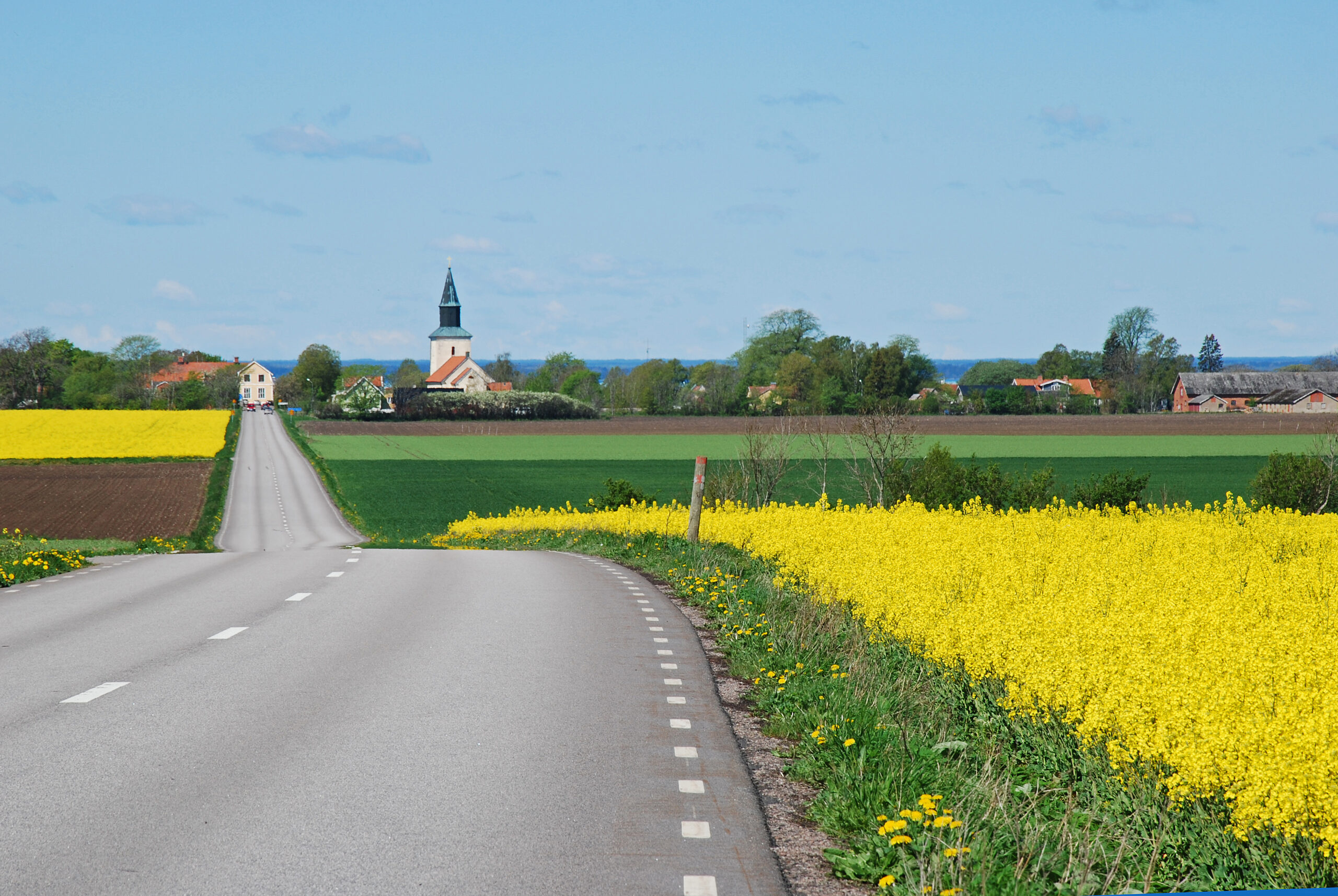 Landsväg till Mörbylånga förbi rapsfält under blå himmel. Vid horisonten syns en kyrka.