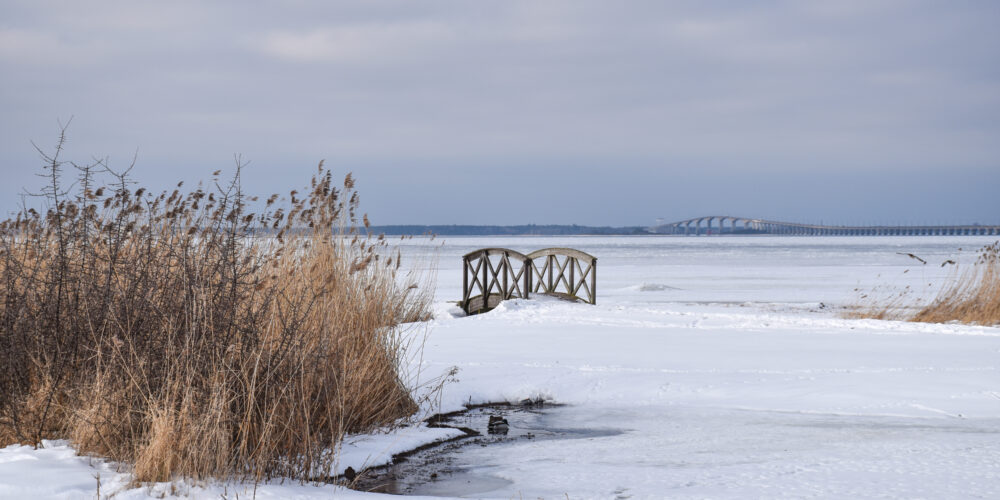 Ett snötäckt dämme med en vattensamling och liten träbro framför ett istäckt sund. I förgrunden syns en brun vassrugge och i horisonten skymtar ölandsbron mot en blågrå himmel.