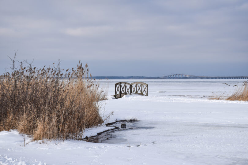 Ett snötäckt dämme med en vattensamling och liten träbro framför ett istäckt sund. I förgrunden syns en brun vassrugge och i horisonten skymtar ölandsbron mot en blågrå himmel.