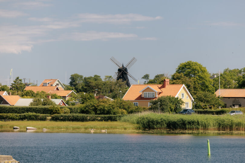 Vy över några hus och en kvarn.