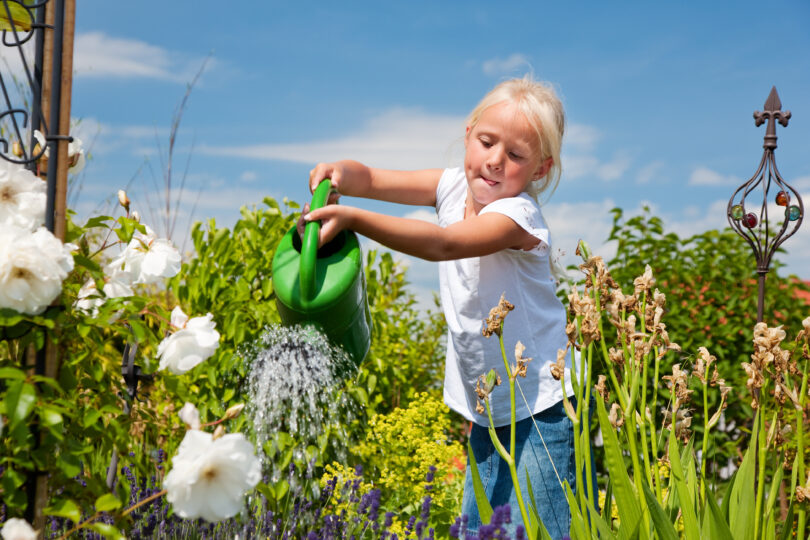 Flicka vattnar en prunkande sommarträdgård med vattenkanna.