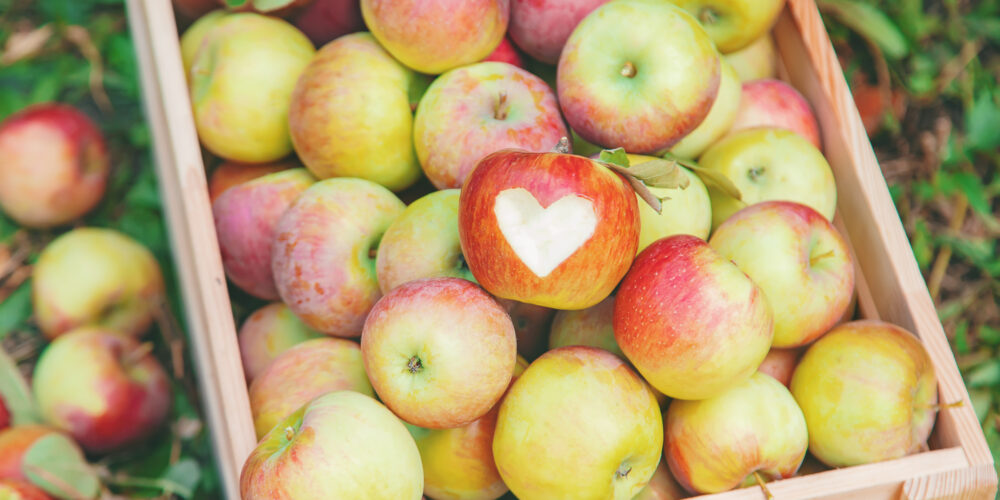 Äpplen i en trälåda i trädgården.