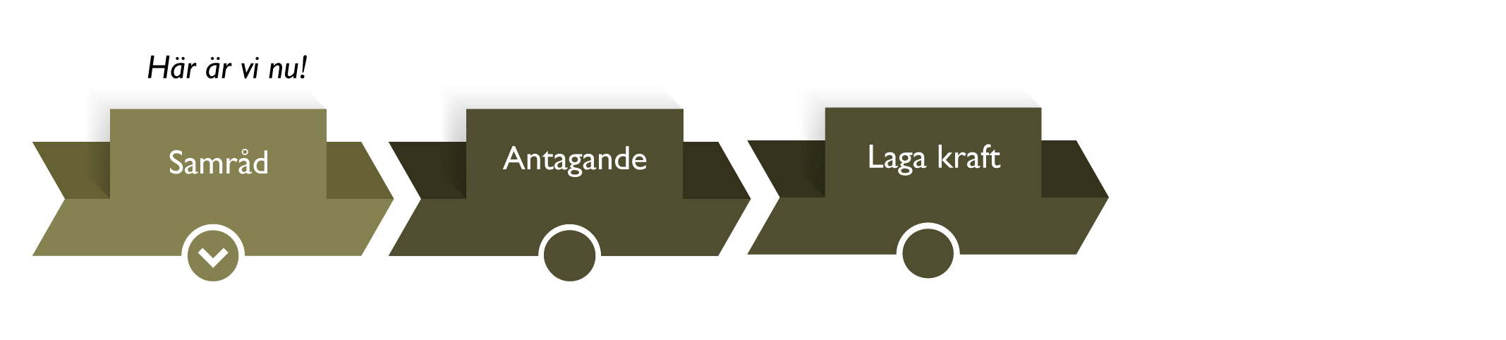 Samråd, antagande, laga kraft