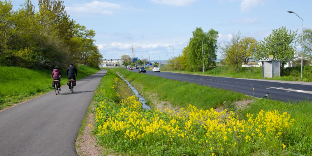 Två personer cyklar på en asfalterad cykelväg vid infarten till Färjestaden i Mörbylånga kommun. Bredvid löper en större bilväg med en busskur på andra sidan. Längs vägkanten blommar gula blommor och omgivningen är grön under en klar vår- eller sommardag.