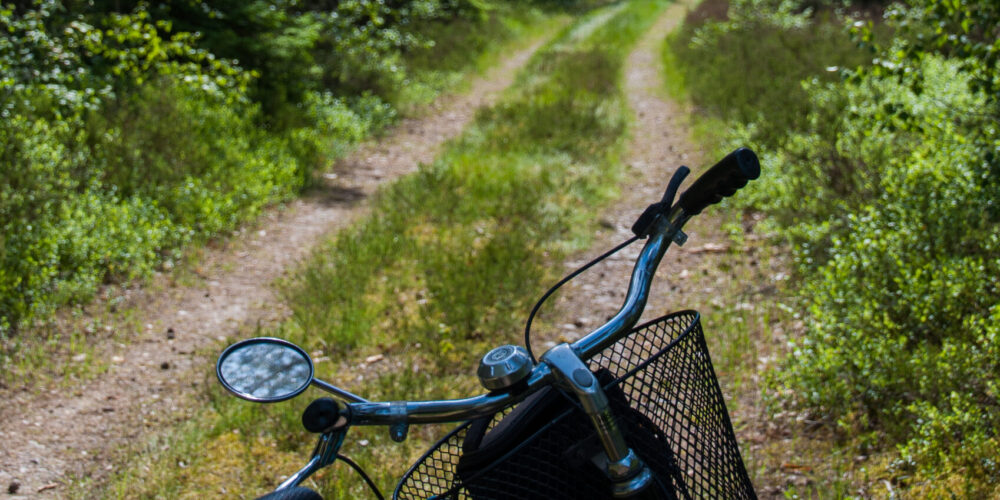 En cykel med cykelkorg på en skogsväg.