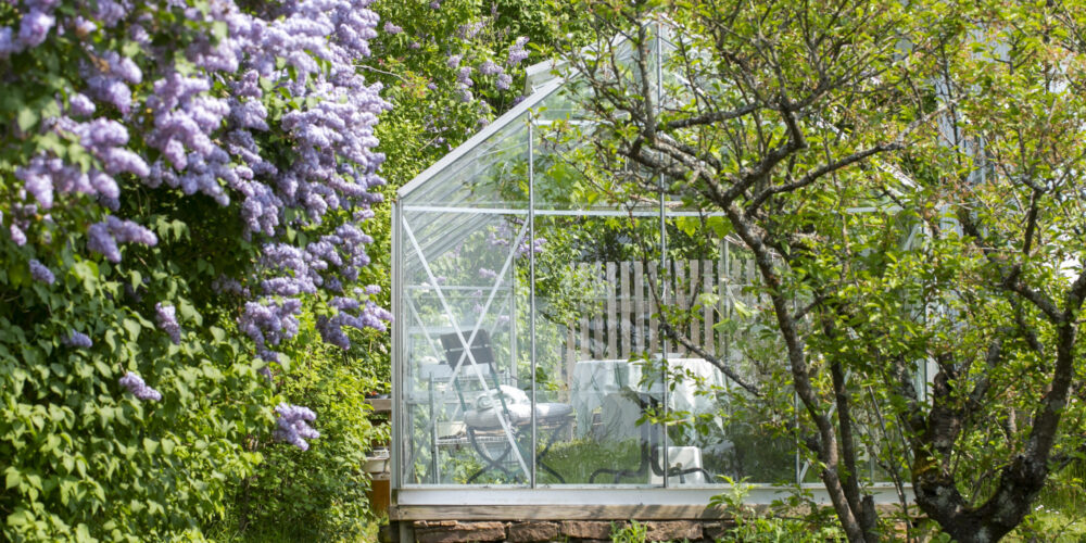 Växthus i glas i sommarträdgård.