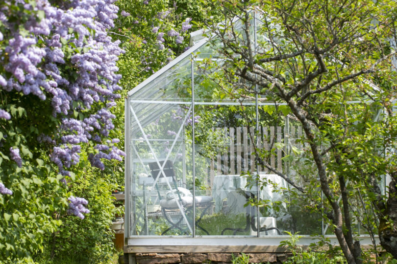 Växthus i glas i sommarträdgård.