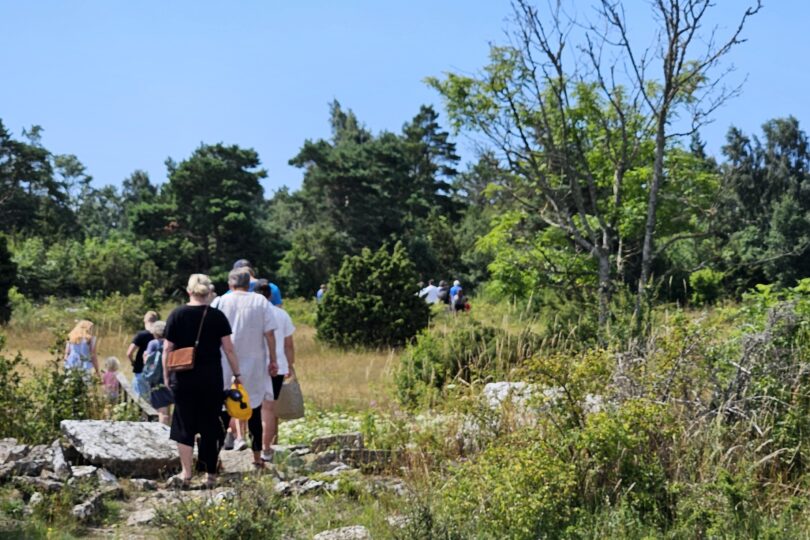 En grupp vuxna och barn vandrar bort från kameran över stenig mark genom ett öppet, buskigt landskap, med skog i bakgrunden. Solig sommardag med klarblå himmel och grönska runt stigen.