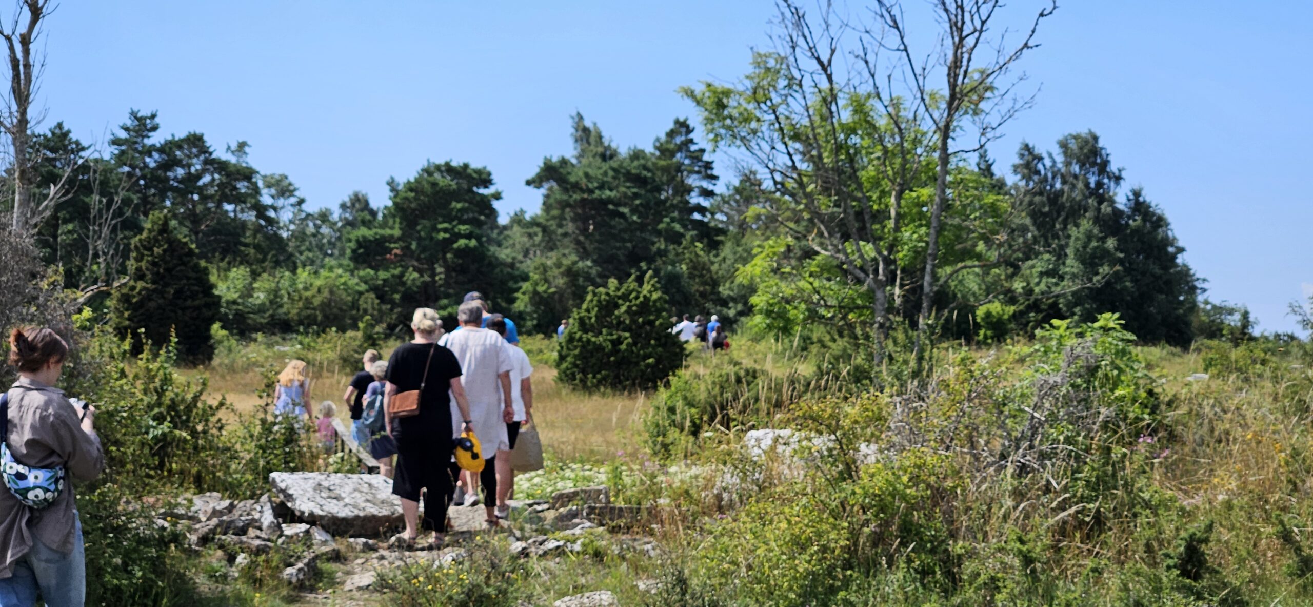 En grupp vuxna och barn vandrar bort från kameran över stenig mark genom ett öppet, buskigt landskap, med skog i bakgrunden. Solig sommardag med klarblå himmel och grönska runt stigen.