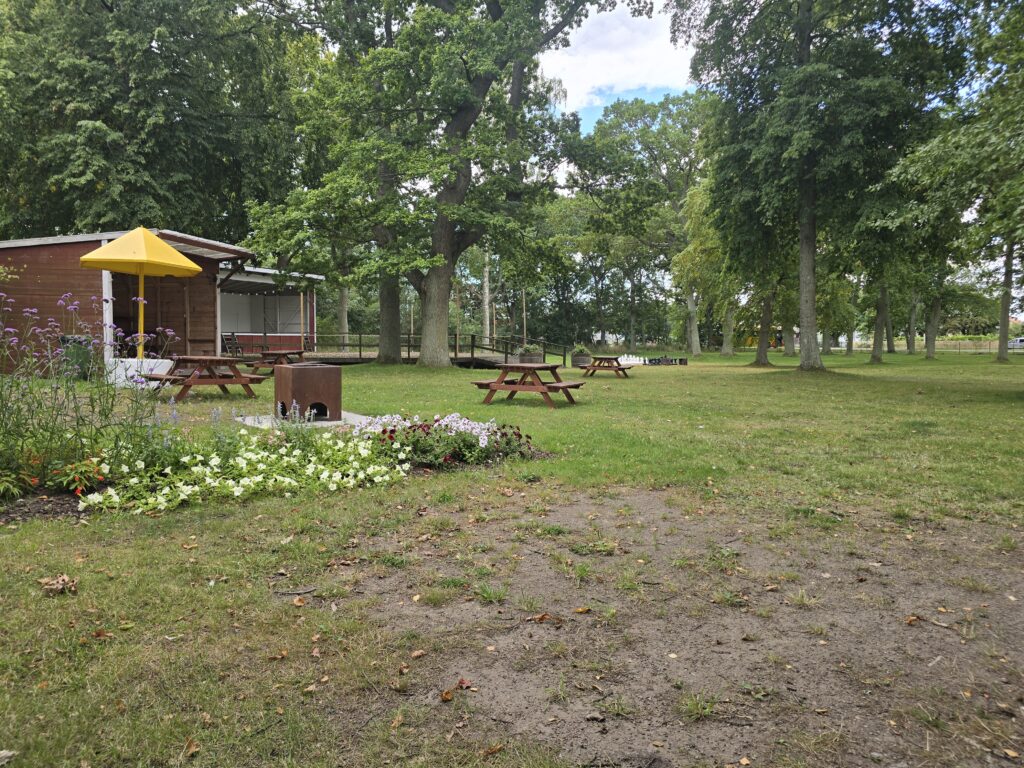 Picknickbord står utspridda på en gräsmatta i en lummig park, intill en liten träbyggnad med gult parasoll. I förgrunden syns en blomrabatt och en eldstad, med höga träd runtom.