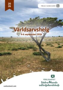 Vindpinat träd står ensamt i ett öppet odlingslandskap med stenig mark och hav vid horisonten under molnig himmel. Text: “Världsarvshelg 4–6 september 2026”, “Följ oss i sociala medier”, “Världsarvet Södra Ölands odlingslandskap”, “sodraoland.com”, “2026”.