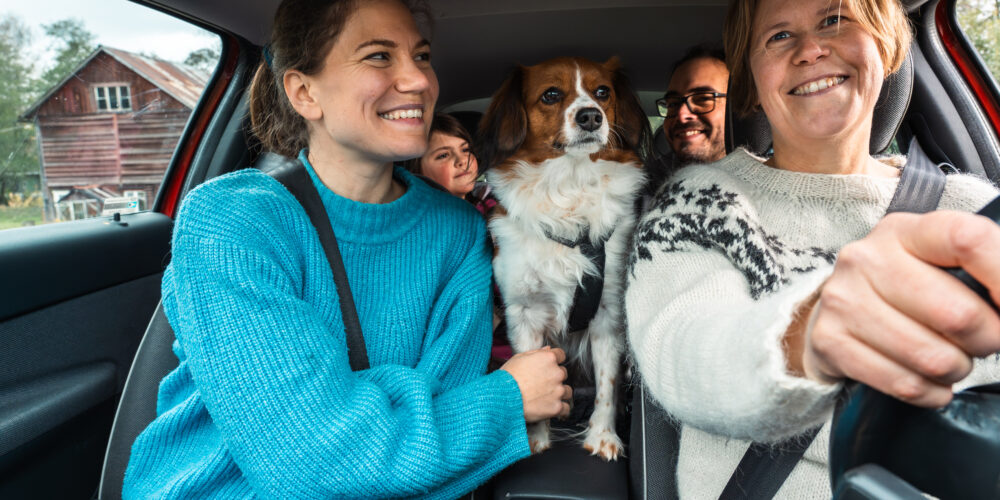 Fyra personer och en liten hund åker tillsammans i en bil; föraren och passageraren fram ler, medan hunden står mellan framsätena och tittar rakt fram. Landsbygdshus syns genom sidofönstret.