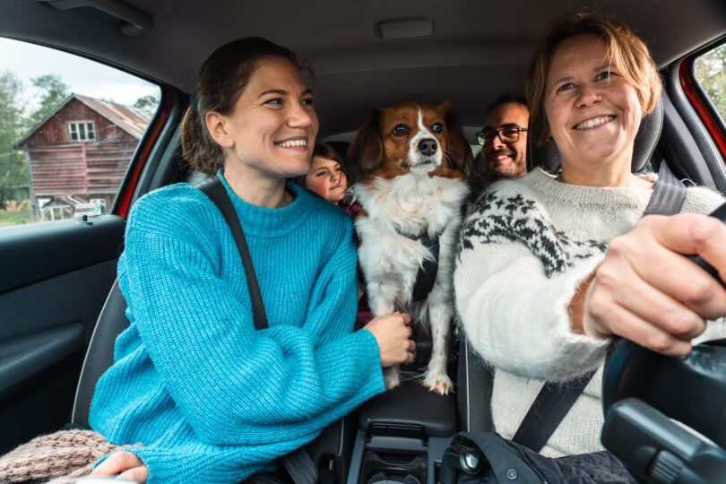 Fyra personer och en liten hund åker tillsammans i en bil; föraren och passageraren fram ler, medan hunden står mellan framsätena och tittar rakt fram. Landsbygdshus syns genom sidofönstret.
