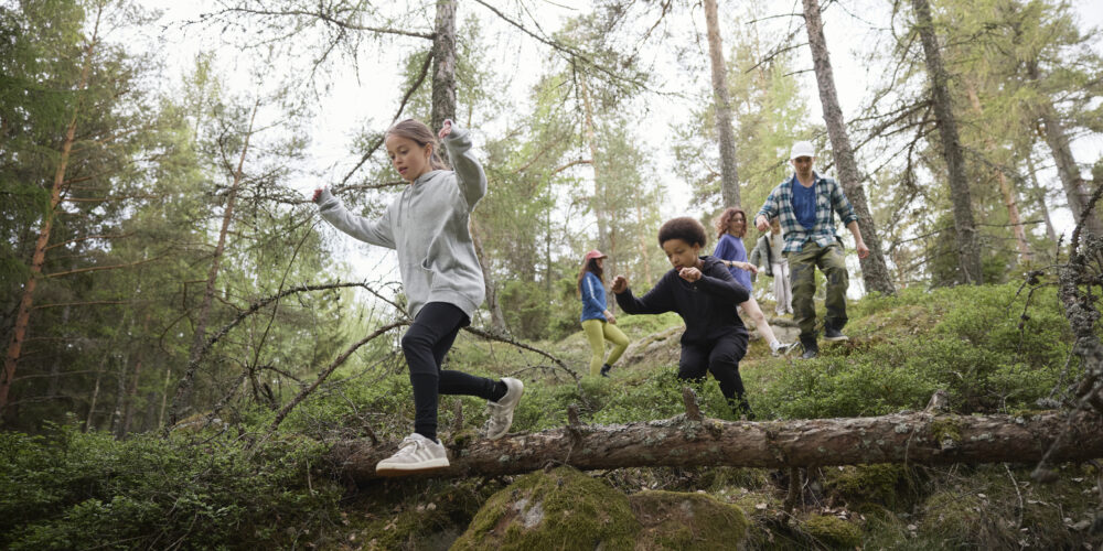Barn och vuxna tar sig fram över en mossig stock och stenig mark i en tallskog. Ett barn balanserar med armarna ut, medan en annan hukar för att hoppa ner, som naturparkour under friluftstur.
