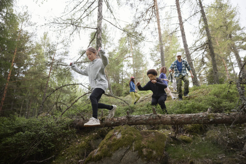 Barn och vuxna tar sig fram över en mossig stock och stenig mark i en tallskog. Ett barn balanserar med armarna ut, medan en annan hukar för att hoppa ner, som naturparkour under friluftstur.