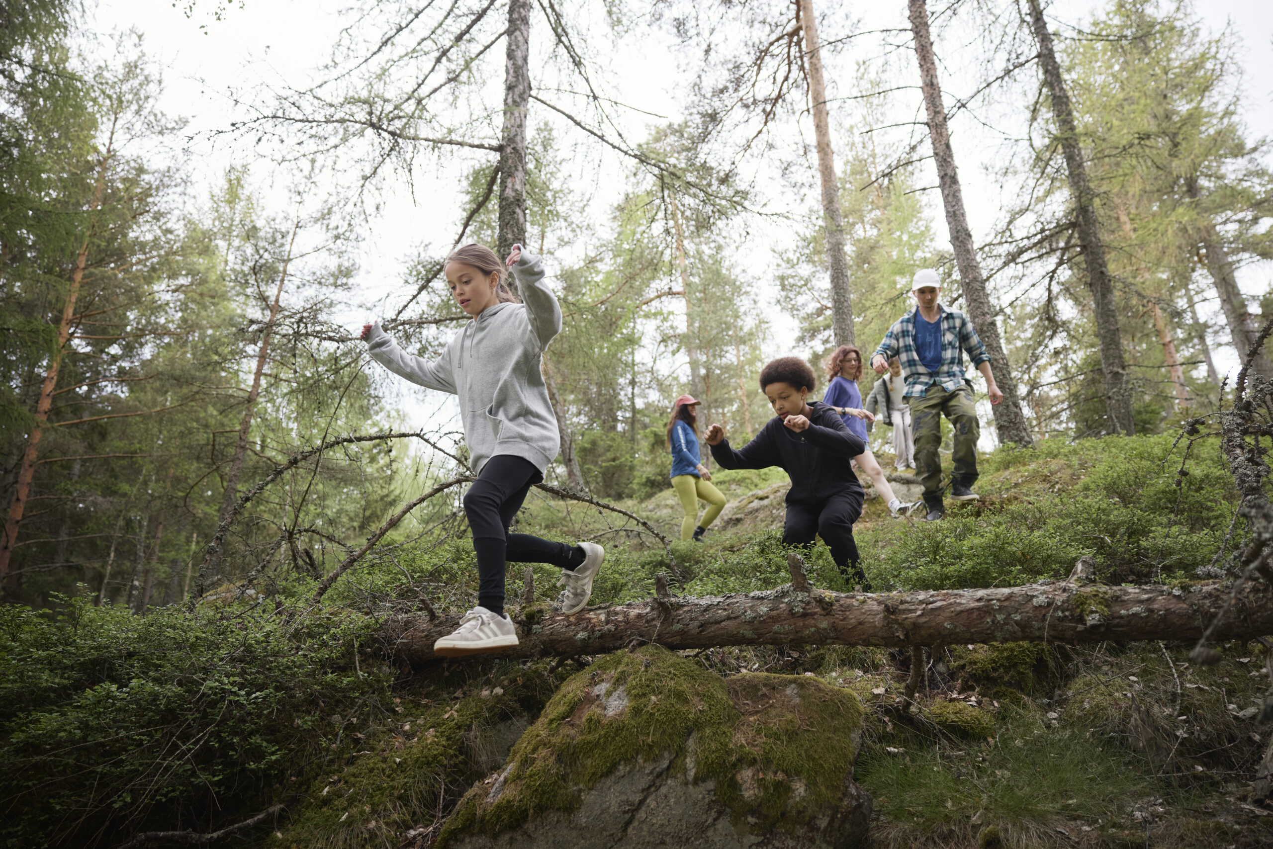 Barn och vuxna tar sig fram över en mossig stock och stenig mark i en tallskog. Ett barn balanserar med armarna ut, medan en annan hukar för att hoppa ner, som naturparkour under friluftstur.