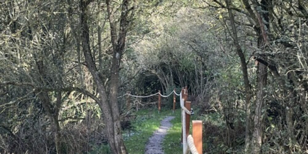 Smal grusad stig slingrar sig fram genom tät skog och buskage, kantad av trästolpar med tjockt rep som räcke. Träden bildar en tunnel av grenar och dämpar ljuset över vandringsleden.