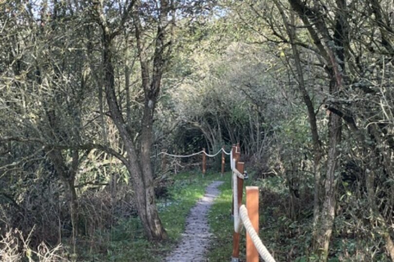 Smal grusad stig slingrar sig fram genom tät skog och buskage, kantad av trästolpar med tjockt rep som räcke. Träden bildar en tunnel av grenar och dämpar ljuset över vandringsleden.