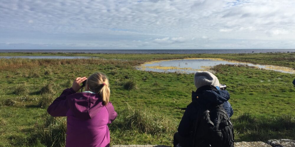 Två personer sitter på en stenmur och spanar med kikare över ett öppet kustlandskap med gräsmarker och en liten damm, mot havet i fjärran under en vid, molnig himmel.