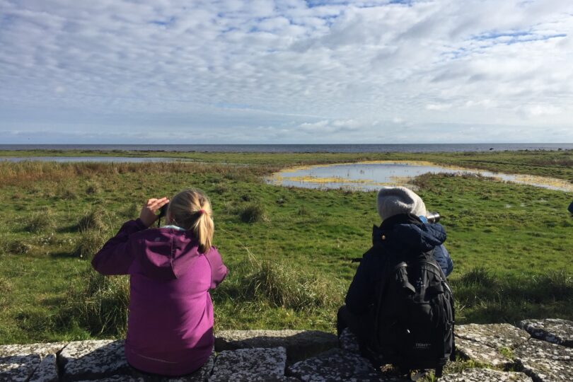Två personer sitter på en stenmur och spanar med kikare över ett öppet kustlandskap med gräsmarker och en liten damm, mot havet i fjärran under en vid, molnig himmel.
