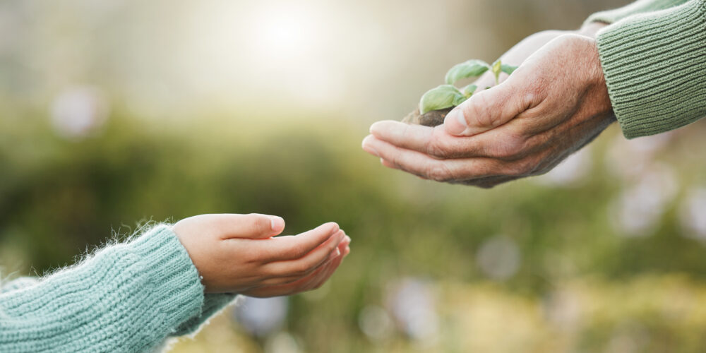 Vuxens händer räcker över en liten planta med jordklump till ett barns öppna händer. Närbild i mjukt solljus med suddig grön bakgrund, som symboliserar omtanke om naturen och en hållbar framtid.