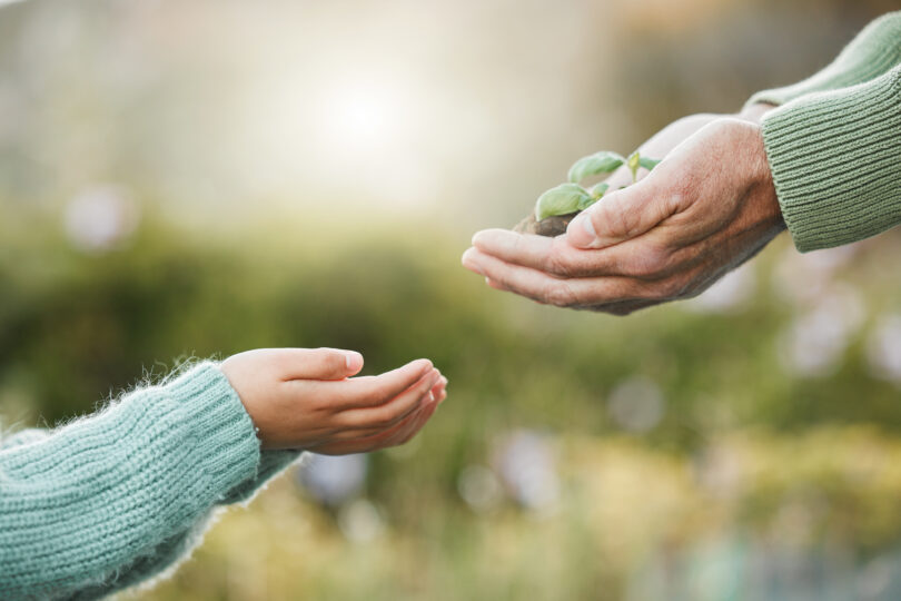 Vuxens händer räcker över en liten planta med jordklump till ett barns öppna händer. Närbild i mjukt solljus med suddig grön bakgrund, som symboliserar omtanke om naturen och en hållbar framtid.